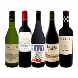  南アフリカ満喫セット set 世界でもっとも美しいワイン wine 産地と呼ばれる南アらしいワイン wine 5本セット set 