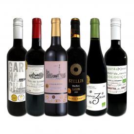 赤ワイン wine セット set 第189弾 採算度外視の謝恩企画 当店厳選 特大感謝の大満足赤ワイン wine 6本セット set ワイン wine セット set 赤ワイン wine ミデ 