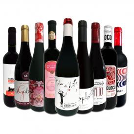  おうちタパスにピッタリ スペイン Spain 各地の赤飲み比べ おうちバル赤ワイン wine 9本セット set 