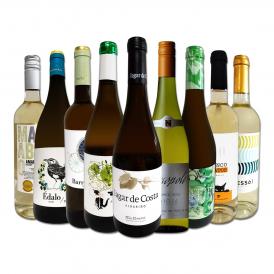  おうちタパスにピッタリ スペイン Spain 各地の白飲み比べ おうちバル白ワイン wine 9本セット set 
