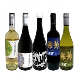  当店独自輸入のチリワイン wine ５本セット set 評価の高いプレミアムワイン wine からデイリーワイン wine まで品種違いを楽しめます 