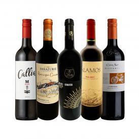  肉料理にばっちり ボルドー bordeaux 人が今も愛する南米カルメネール＆マルベック厳選5本セット set 