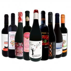  おうちタパスにピッタリ スペイン Spain 各地の赤飲み比べ おうちバル赤ワイン wine 9本セット set 