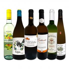 白ワイン wine セット set 第189弾 当店厳選 これぞ極旨辛口白ワイン wine 白ワイン wine を存分に楽しむ 味わい深いスーパー・セレクト白 750ml 6本セット set
