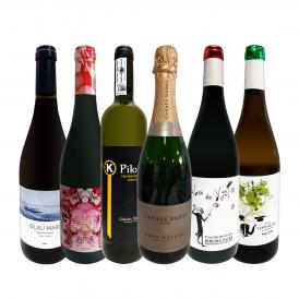  華麗なる新時代スペイン Spain ワイン wine セット set 