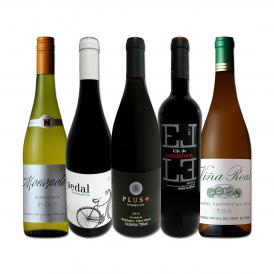  ぜんぶパーカー parker 90点以上 間違いありません パーカー parker 絶賛の高評価ワイン wine 赤白5本セット set 
