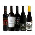  たっぷりコク旨 スペイン Spain 濃厚フルボディ赤ワイン wine 5本セット set 