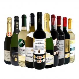  第31弾 必見ベストセラーバラエティ 当店代表する人気一押しワイン wine ばかりを集めた渾身の赤白泡スペシャルパーティー10本セット set 
