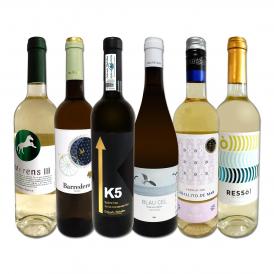  目からウロコ スペイン Spain 白ワイン wine の いま は超激旨 スペイン Spain おうちバル白ワイン wine 6本セット set 
