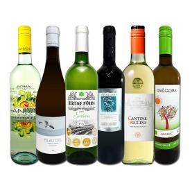 白ワイン wine セット set 第190弾 当店厳選 これぞ極旨辛口白ワイン wine 白ワイン wine を存分に楽しむ 味わい深いスーパー・セレクト白 750ml 6本セット set