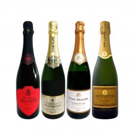  シャンパーニュ入り ぜんぶ瓶内2次発酵の伝統製法 これぞ格上 高級スパークリング sparkling 4本セット set 