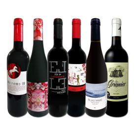  スペイン Spain 全土の地ワイン wine 満喫 スペイン Spain おうちバル赤ワイン wine 6本セット set 