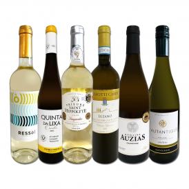 白ワイン wine セット set 第191弾 当店厳選 これぞ極旨辛口白ワイン wine 白ワイン wine を存分に楽しむ 味わい深いスーパー・セレクト白 750ml 6本セット set