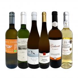  第26弾 当店 極 厳選 白ワイン wine 好きならこのセット set 格別の美味しさ 華やかな上質白ワイン wine を存分に味わう贅沢白ワイン wine 6本セット set 