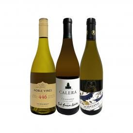  白ワイン wine 好き必見 カリフォルニアの上質シャルドネ chardonnay ３本セット set 