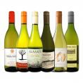  デイリー・シャルドネ chardonnay の決定版 向上目覚しいチリ・アルゼンチンのシャルドネ chardonnay ６本セット set 