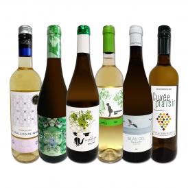  目からウロコ スペイン Spain 白ワイン wine の いま は超激旨 スペイン Spain おうちバル白ワイン wine 6本セット set 