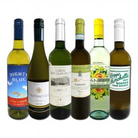 白ワイン wine セット set 第193弾 採算度外視の謝恩企画 当店厳選 特大感謝の大満足白ワイン wine 6本セット set ワイン wine セット set 金賞ワイン wine 飲 