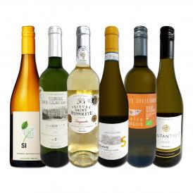 白ワイン wine セット set 第192弾 当店厳選 これぞ極旨辛口白ワイン wine 白ワイン wine を存分に楽しむ 味わい深いスーパー・セレクト白 750ml 6本セット set