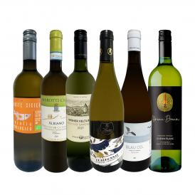  第27弾 当店 極 厳選 白ワイン wine 好きならこのセット set 格別の美味しさ 華やかな上質白ワイン wine を存分に味わう贅沢白ワイン wine 6本セット set 