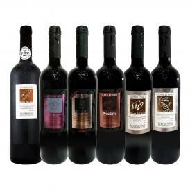  第5弾 大人気イタリア Italy ン アッポローニオ 濃厚赤6本セット set 