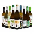  おうちタパスにピッタリ スペイン Spain 各地の白飲み比べ おうちバル白ワイン wine 9本セット set 