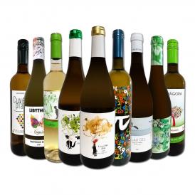  おうちタパスにピッタリ スペイン Spain 各地の白飲み比べ おうちバル白ワイン wine 9本セット set 