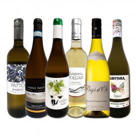 白ワイン wine セット set 第193弾 当店厳選 これぞ極旨辛口白ワイン wine 白ワイン wine を存分に楽しむ 味わい深いスーパー・セレクト白 750ml 6本セット set