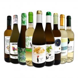  おうちタパスにピッタリ スペイン Spain 各地の白飲み比べ おうちバル白ワイン wine 9本セット set 