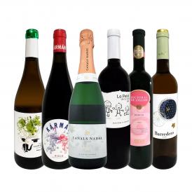  華麗なる新時代スペイン Spain ワイン wine セット set 