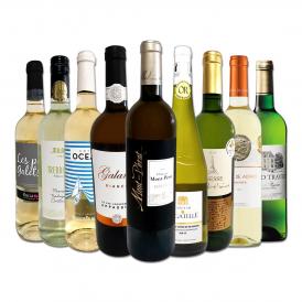  モン・ペラ白入り 端数在庫一掃 白ワイン wine 9本セット set 