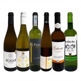  第29弾 当店 極 厳選 白ワイン wine 好きならこのセット set 格別の美味しさ 華やかな上質白ワイン wine を存分に味わう贅沢白ワイン wine 6本セット set 
