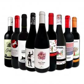  おうちタパスにピッタリ スペイン Spain 各地の赤飲み比べ おうちバル赤ワイン wine 9本セット set 