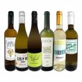 白ワイン wine セット set 第197弾 採算度外視の謝恩企画 当店厳選 特大感謝の大満足白ワイン wine 6本セット set ワイン wine セット set 金賞ワイン wine 飲 