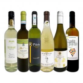 白ワイン wine セット set 第196弾 当店厳選 これぞ極旨辛口白ワイン wine 白ワイン wine を存分に楽しむ 味わい深いスーパー・セレクト白 750ml 6本セット set