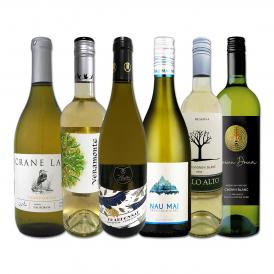  マスターオブワイン wine 監修のカリフォルニアシャルドネ chardonnay 、ニュージー産ソーヴィニョンをはじめ、新世界のお買い得白６本セット set 