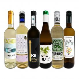  7/10限定 抽選で最大100％ポイントバック 要エントリー 目からウロコ スペイン Spain 白ワイン wine の いま は超激旨 スペイン Spain おうちバル白ワイン win