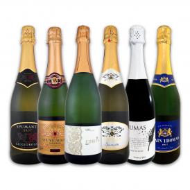  第97弾 泡祭り 当店厳選辛口スパークリング sparkling ワイン wine 6本スペシャルセット set 