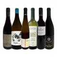 バイヤー厳選 世界のオーガニックワイン wine 6本セット set 