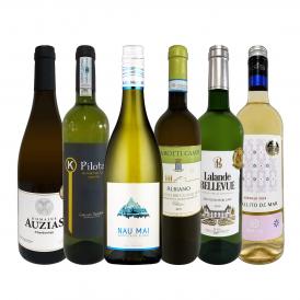  第31弾 当店 極 厳選 白ワイン wine 好きならこのセット set 格別の美味しさ 華やかな上質白ワイン wine を存分に味わう贅沢白ワイン wine 6本セット set 
