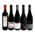  村名ブルゴーニュ bourgogne &マス・ラヴァル 厳選フランス France 赤ワイン wine 5本セット set 