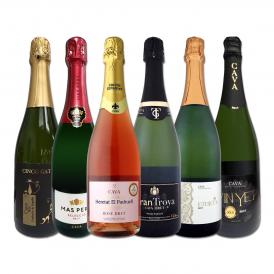  すべて本格伝統製法カバ すべて辛口スパークリング sparkling ワイン wine 6本セット set 