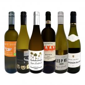  第32弾 当店 極 厳選 白ワイン wine 好きならこのセット set 格別の美味しさ 華やかな上質白ワイン wine を存分に味わう贅沢白ワイン wine 6本セット set 