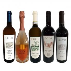  大人気イタリア Italy ン チウ・チウ 激旨5本セット set 