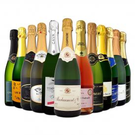  第40弾 シャンパン入り 辛口スパークリング sparkling ワイン wine 12本セット set 