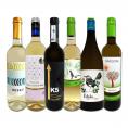  目からウロコ スペイン Spain 白ワイン wine の いま は超激旨 スペイン Spain おうちバル白ワイン wine 6本セット set 
