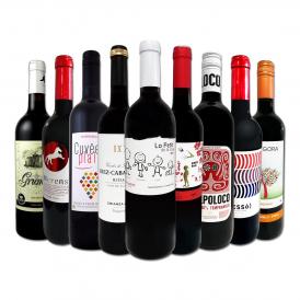  おうちタパスにピッタリ スペイン Spain 各地の赤飲み比べ おうちバル赤ワイン wine 9本セット set 