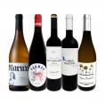  ぜんぶパーカー parker 90点以上 間違いありません パーカー parker 絶賛の高評価ワイン wine 赤白5本セット set 
