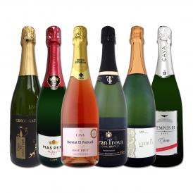  すべて本格伝統製法カバ すべて辛口スパークリング sparkling ワイン wine 6本セット set 