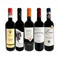  やっぱりトスカーナが好き 厳選赤ワイン wine 5本セット set 